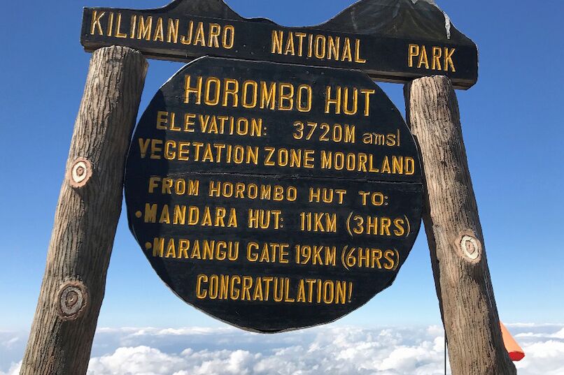 Voie Marangu (2/6) | Mandara Huts (2 720 m) - Horombo Huts (3 720 m)