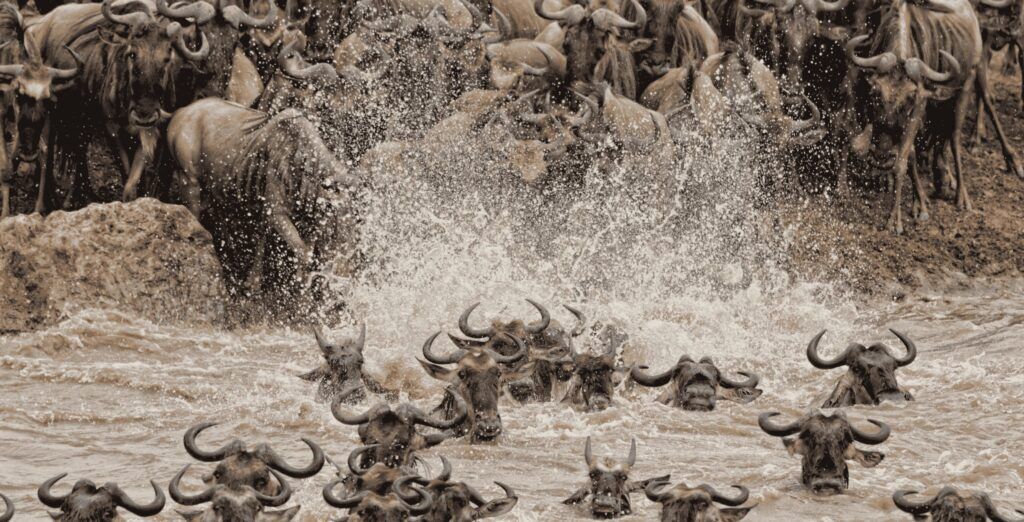 Exceptional Travel Landing Page (4)