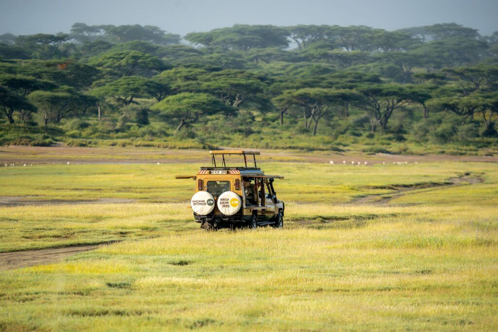 The Great Migration (2)