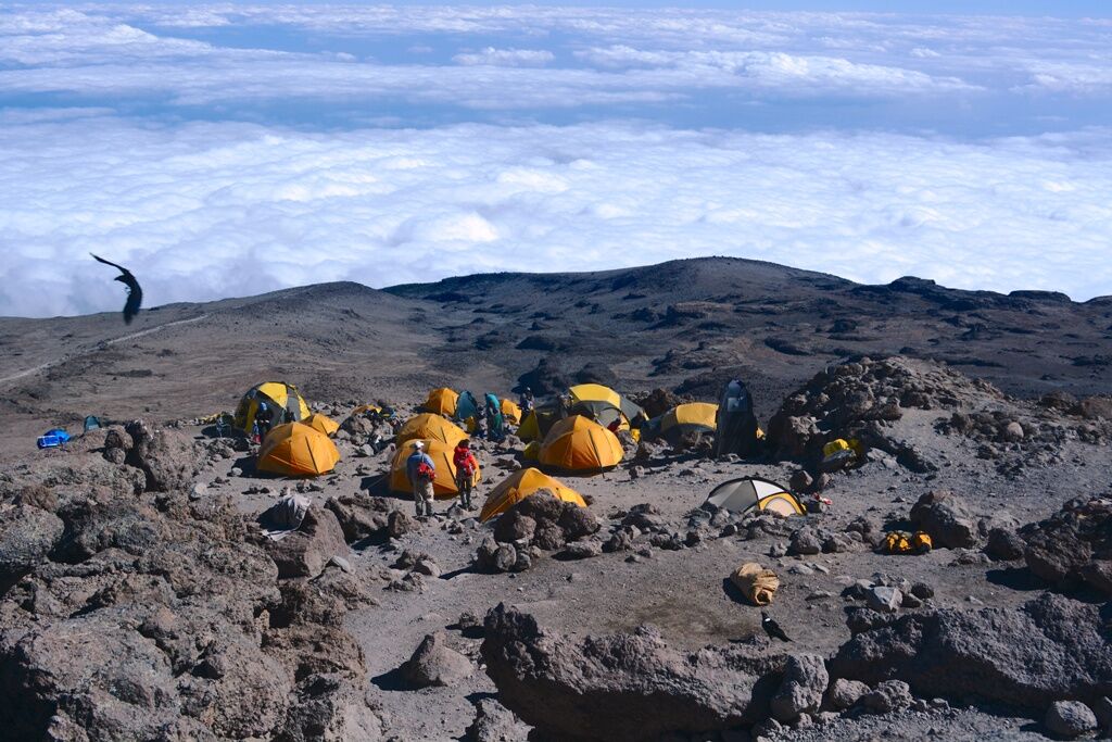 Voie Machame (4/6) | Barranco Camp (3 950 m) - Barafu Camp (4 645 m)