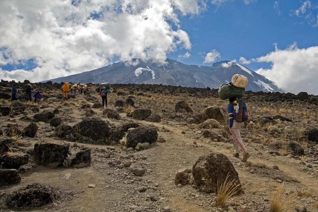 Voie Machame (3/6) | Shira Camp (3 839 m) - Lava Tower (4 630 m) - Barranco Camp (3 950 m)