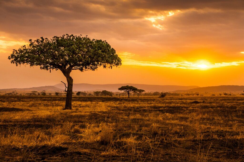 Sunset,At,Serengeti,Park