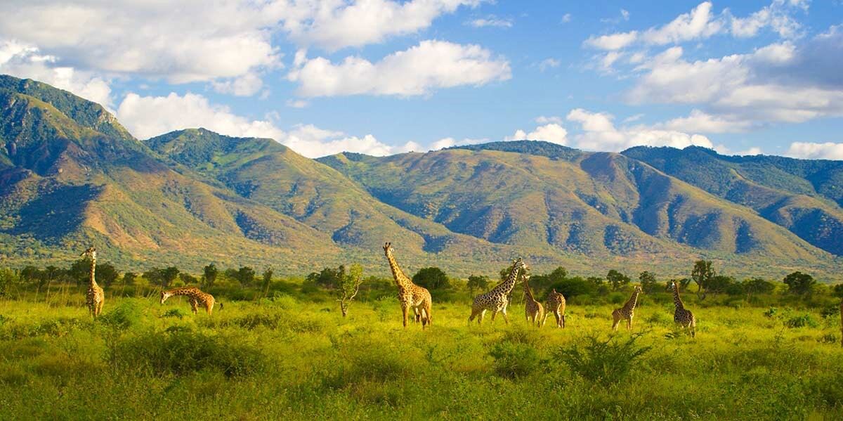 Mkomazi national park landscape