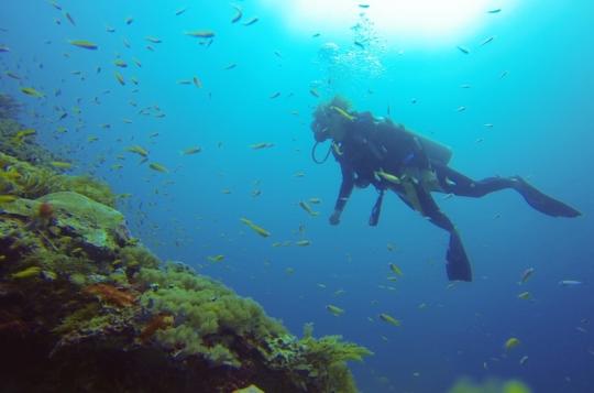 fanjove scuba diving