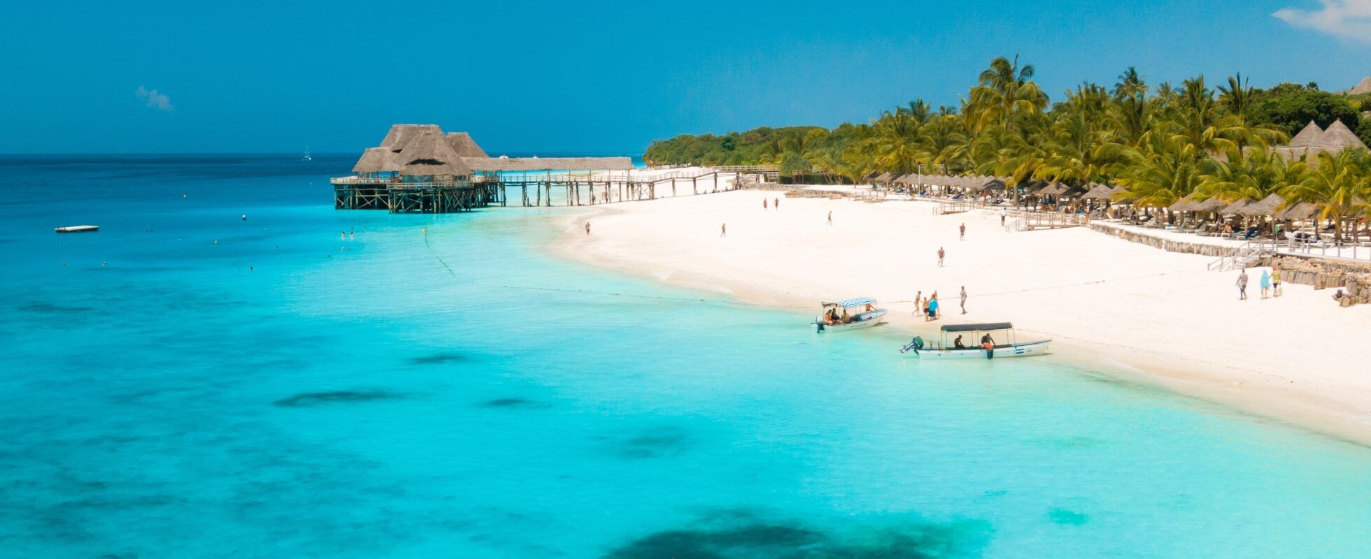 Plage de sable blanc et palmiers à Zanzibar