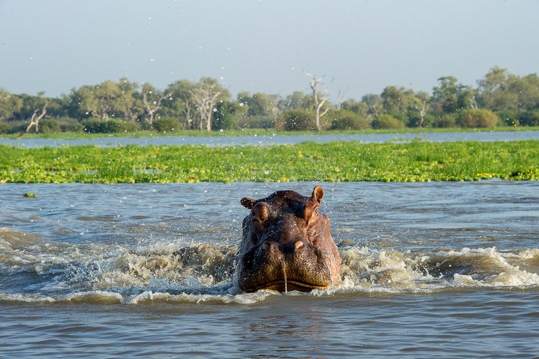 Parc national de Nyerere