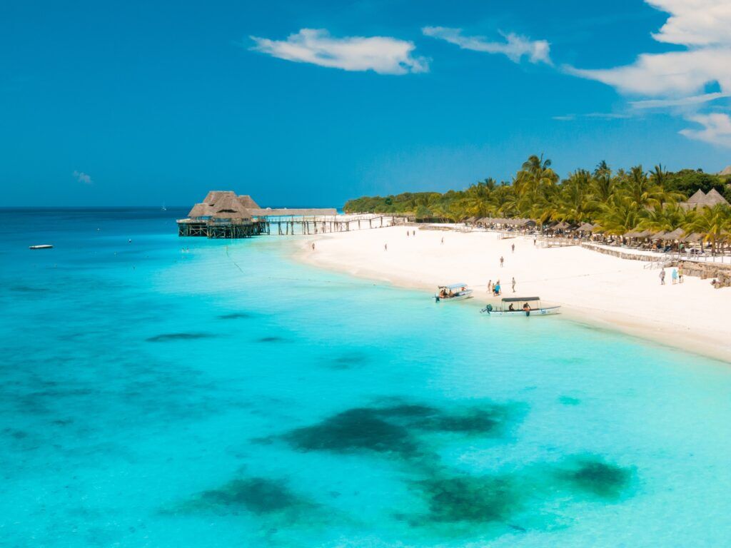 Plage de sable blanc et palmiers à Zanzibar