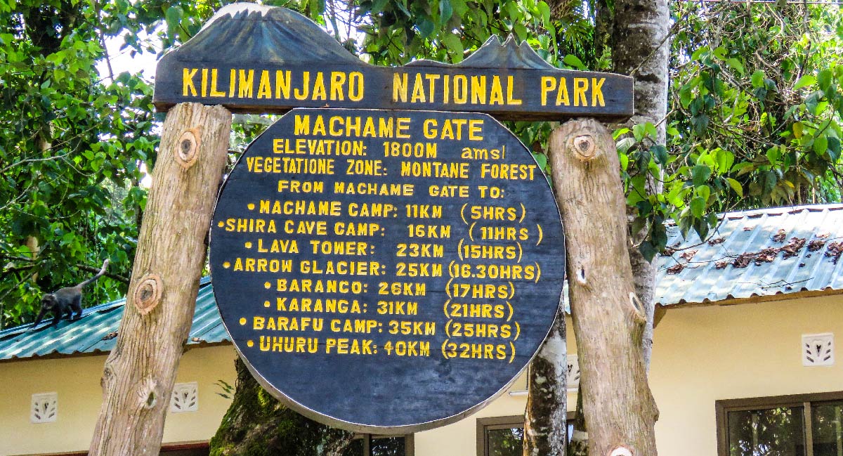 Voie Machame 6 jours (1/6) | Machame Gate (1 800 m) - Machame Camp (2 835 m)