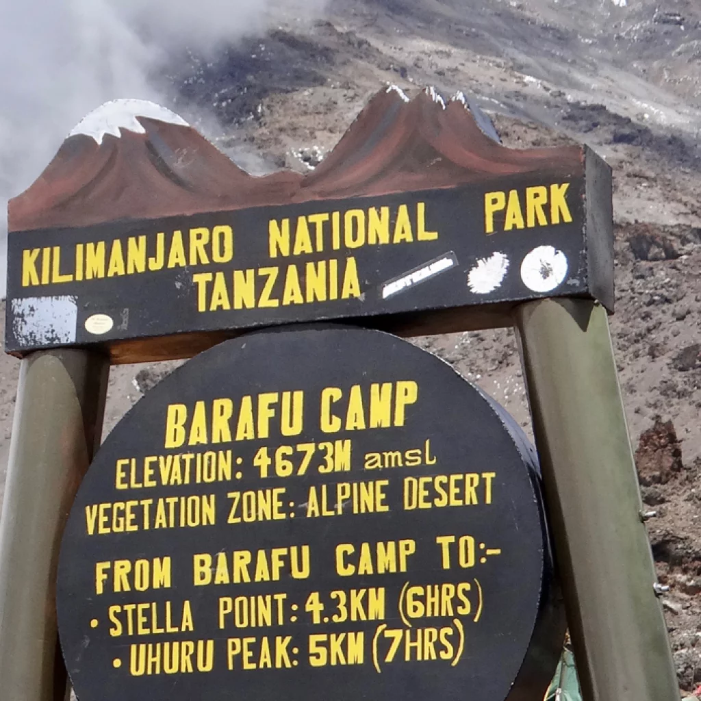 Voie Machame (5/7) | Karanga Camp (4 040 m) - Barafu Camp (4 645 m)