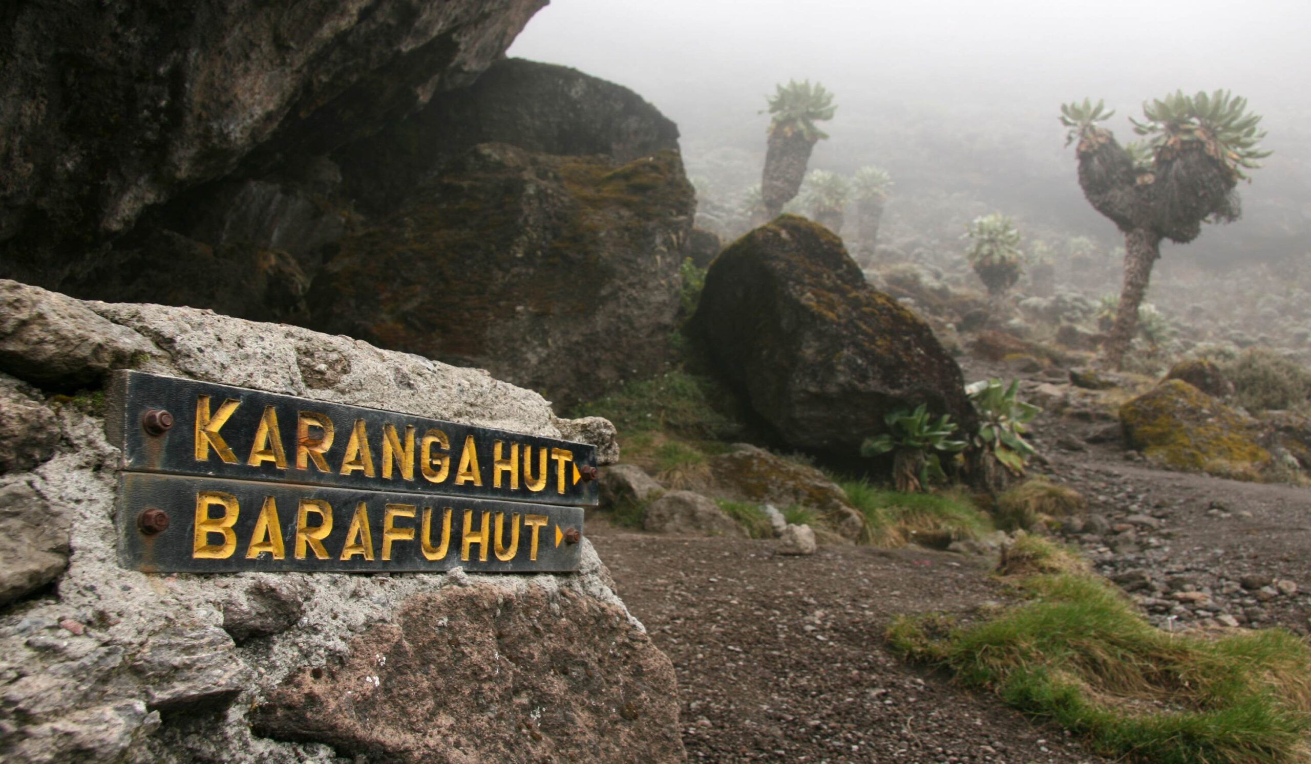 Voie Lemosho (4/7) | Barranco Camp (3 950 m) - Karanga Camp (4 040 m)