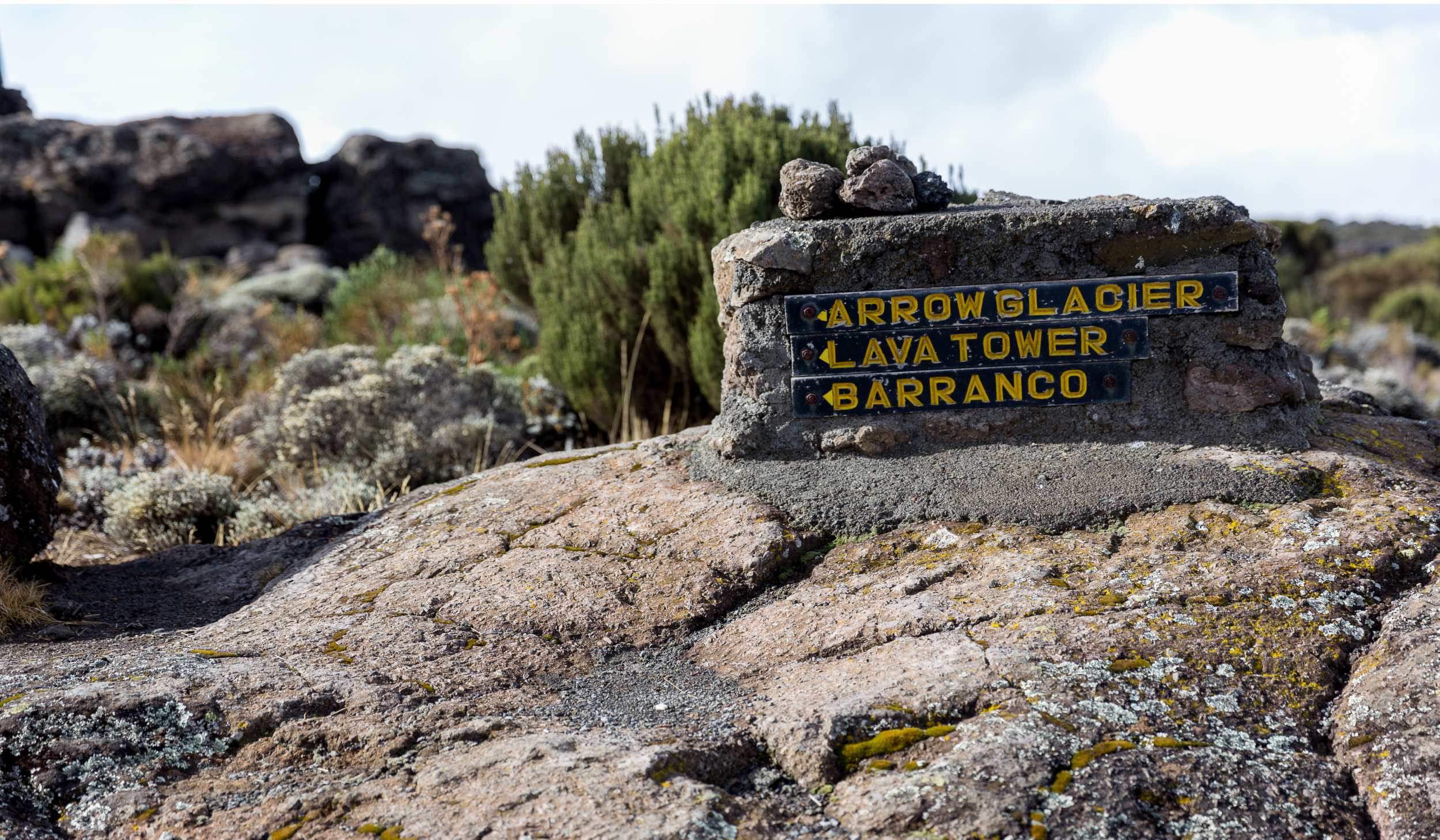 Voie Lemosho-Shira 6 jours (2/6) | Shira 2 Camp (3 890 m) - Lava Tower (4 630 m) - Barranco Camp (3 950 m)