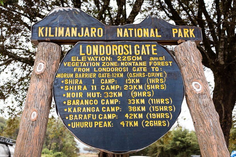 Voie Lemosho (1/8) | Lemosho Gate (2 100 m) - Big Tree Camp (2 780 m)