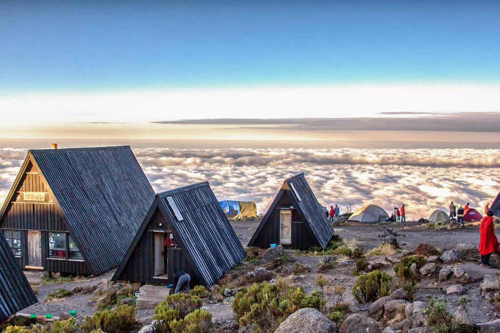 Voie Marangu 5 jours (2/5) | Mandara Huts (2 720 m) - Horombo Huts (3 720 m)