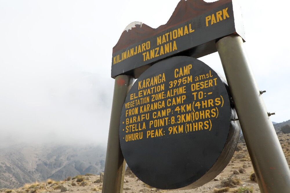 Voie Lemosho-Shira 6 jours (3/6) | Barranco Camp (3 950 m) - Karanga Camp (4 040 m)