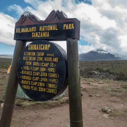 Voie Machame 6 jours (2/6) | Machame Camp (2 835 m) - Shira Camp (3 839 m)