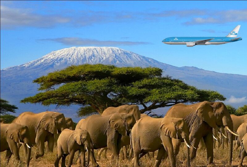 Arrivée à l'aéroport international du Kilimandjaro (JRO) pour votre ascension