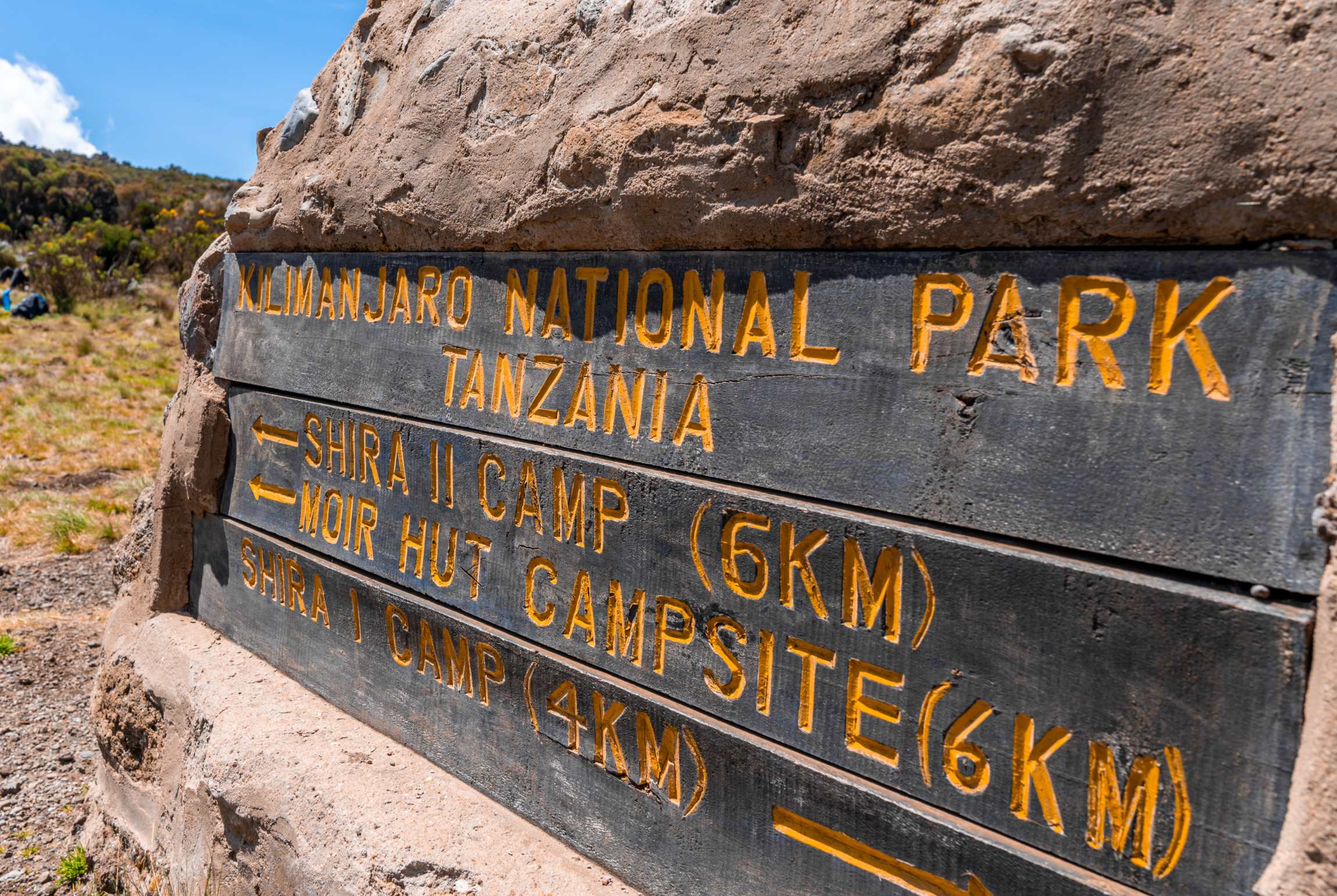 Voie Circuit Nord (2/8) | Big Tree Camp (2 780 m) - Shira 1 Camp (3 510 m)