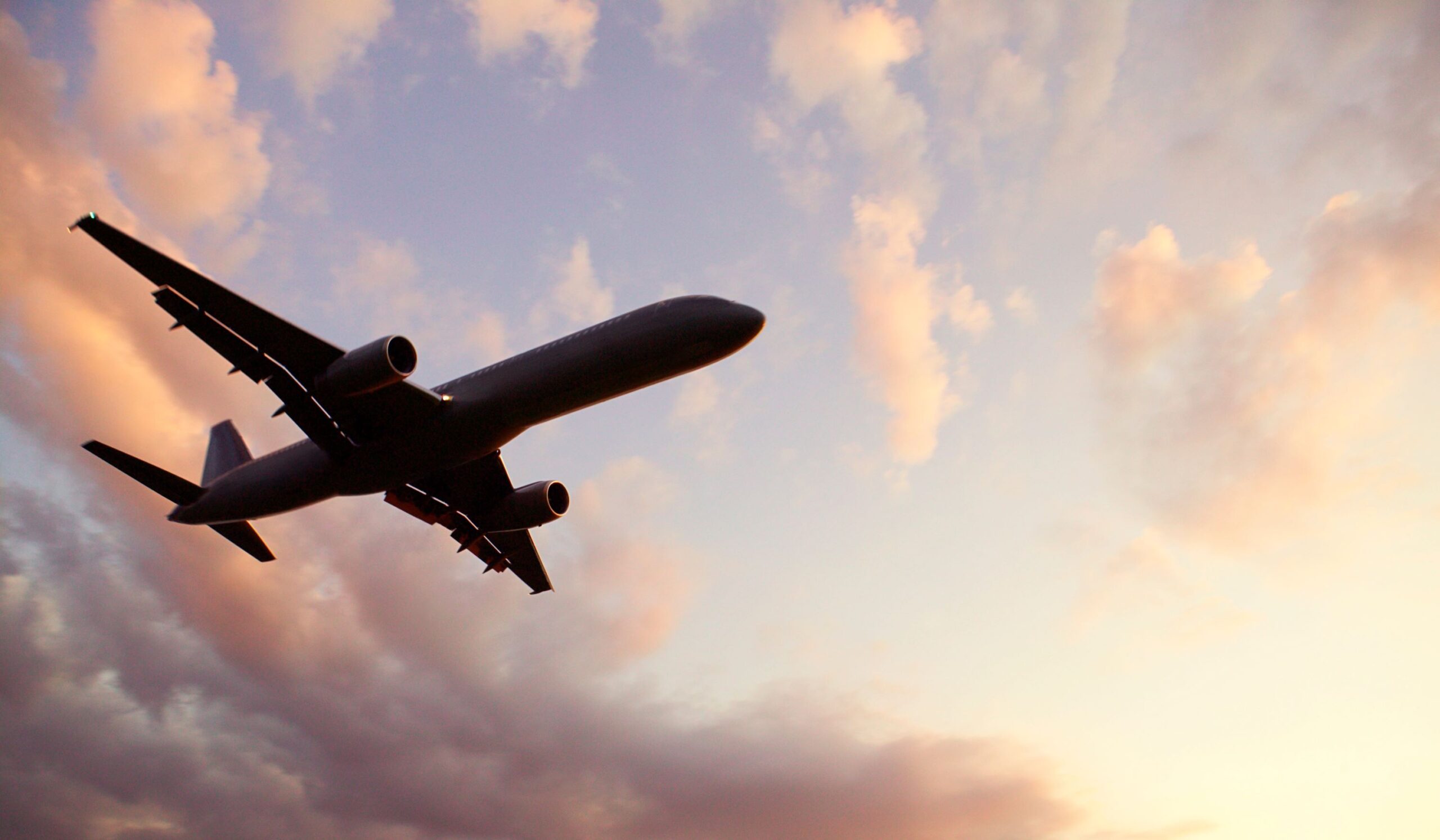 Vol pour Arusha (inclus) et transfert à l'aéroport international du Kilimandjaro (JRO) pour votre vol de retour