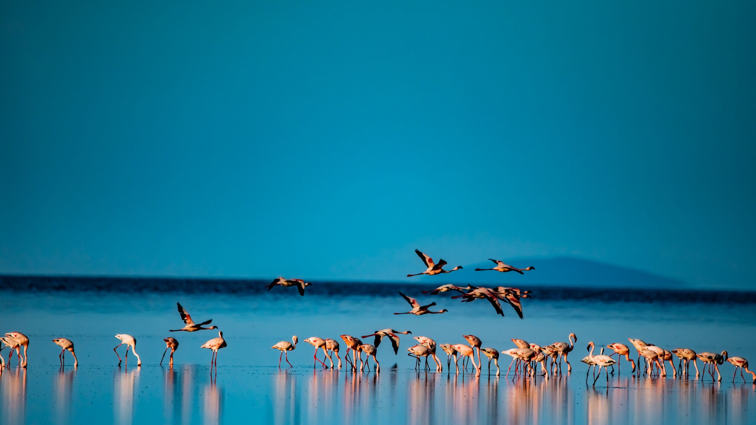 Lac Natron