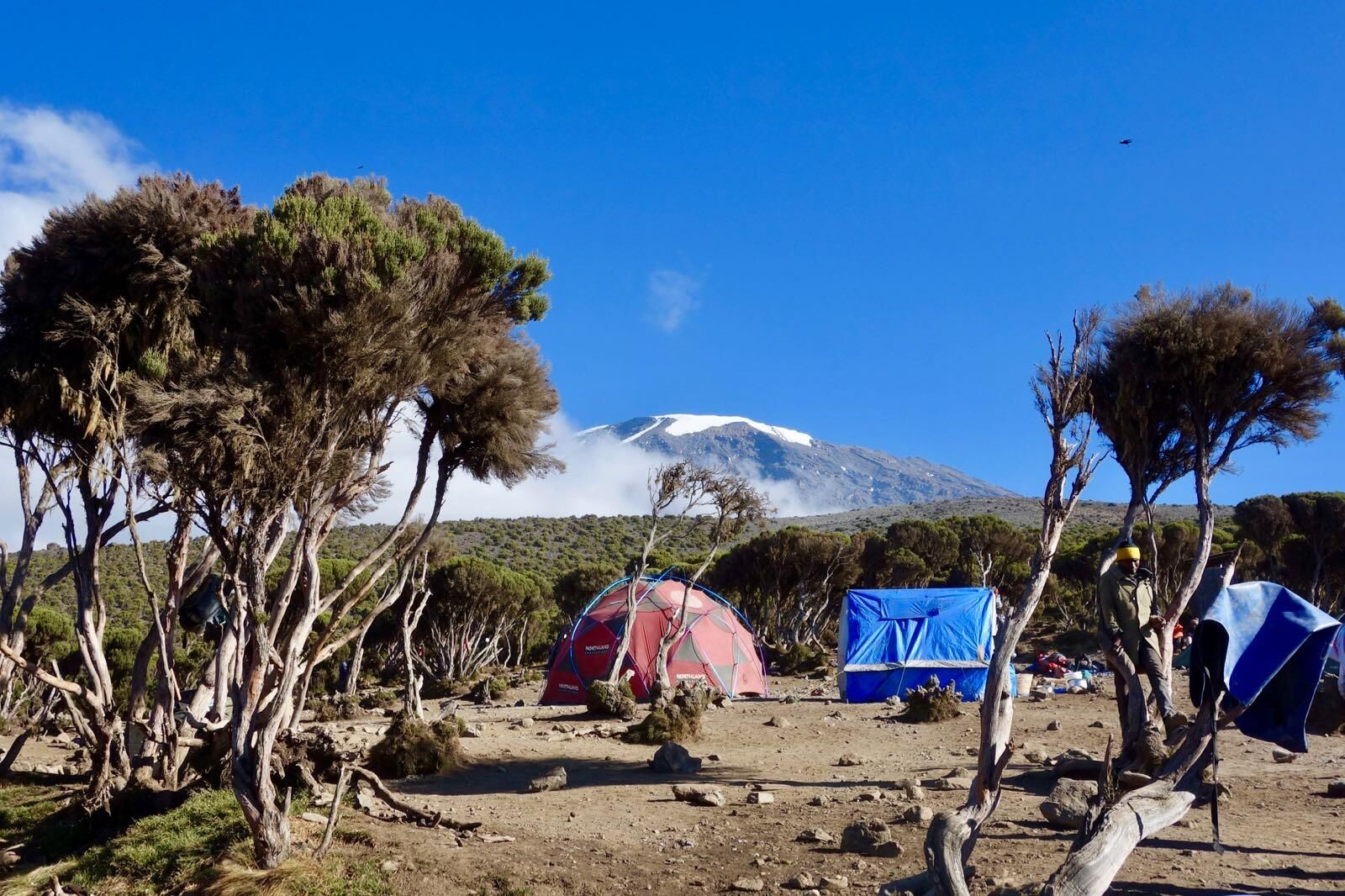 Voie Circuit Nord (7/8) | School Huts (4 710 m) - Uhuru Peak (5 895 m) - Millennium Camp (3 820 m)