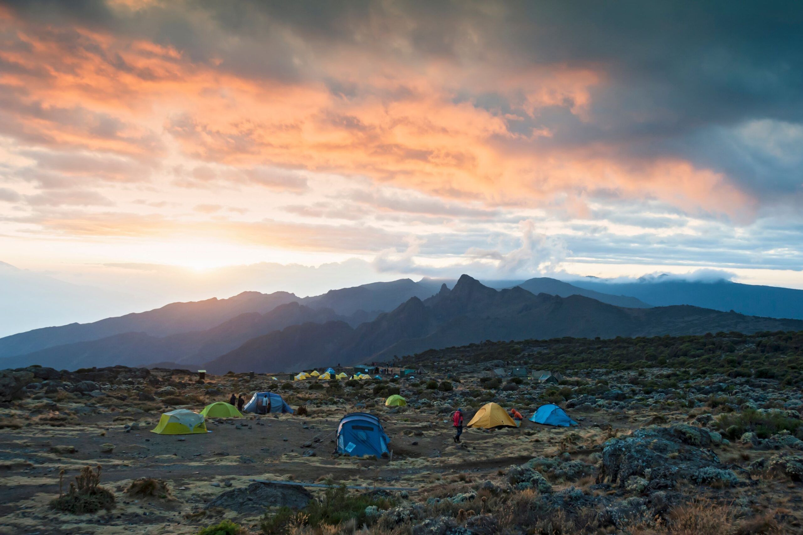 Voie Circuit Nord (3/8) | Shira 1 Camp (3 510 m) - Lava Tower (4 630 m)