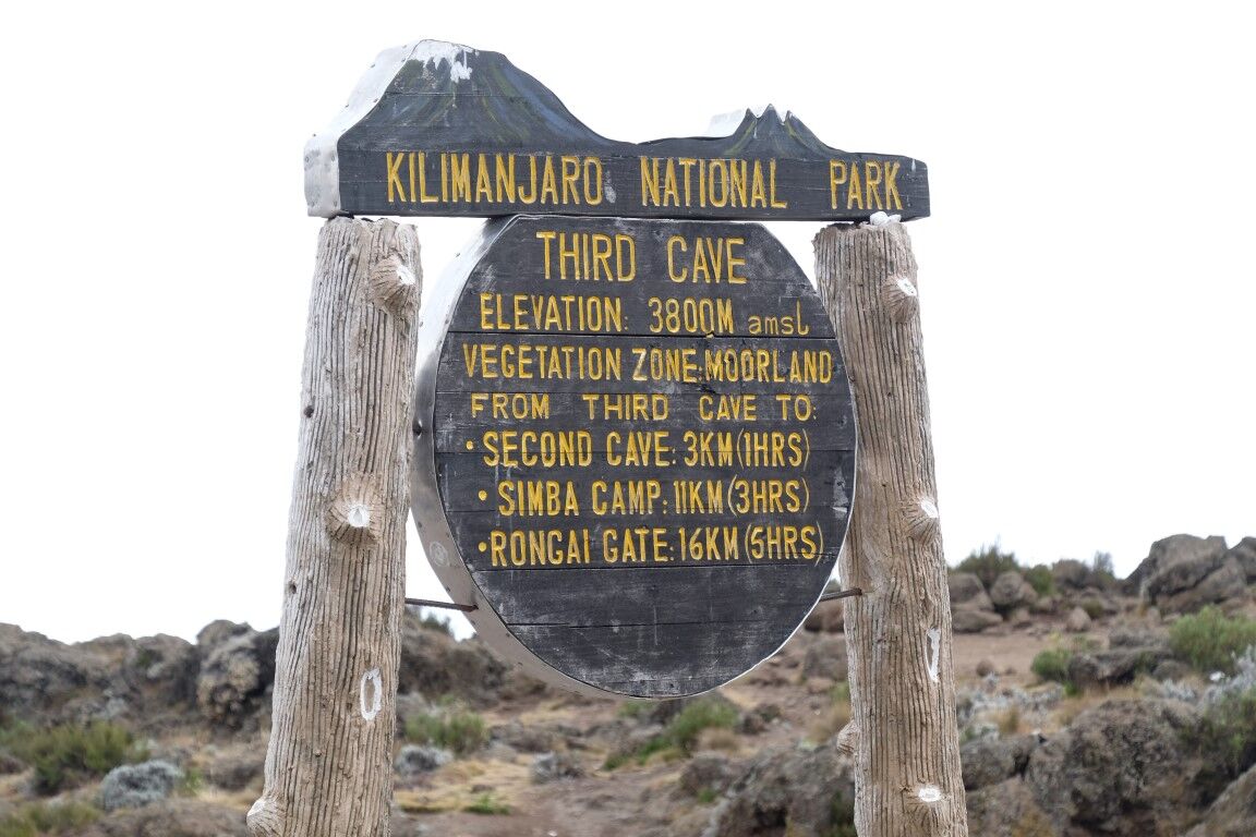 Voie Circuit Nord (5/8) | Buffalo Camp (3 995 m) - Third Cave Camp (3 930 m)