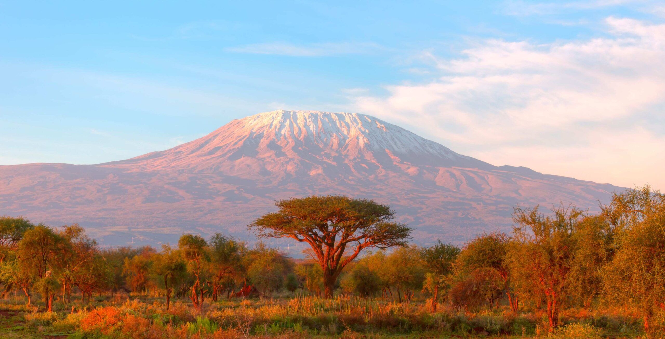 Voie Rongai (1/6) | Rongai Gate (1 950 m) - First Cave Camp (2 650 m)